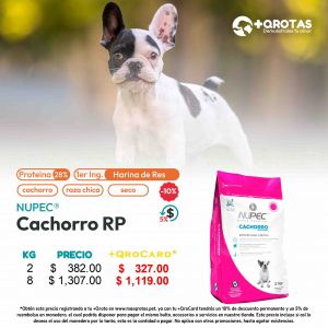 masqrotas_nupec_cachorro_razas_pequeñas