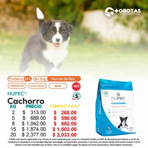 masqrotas_nupec_cachorro