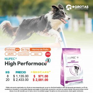 masqrotas_nupec_high_performance