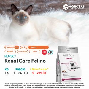 masqrotas_nupec_renal_care_cat