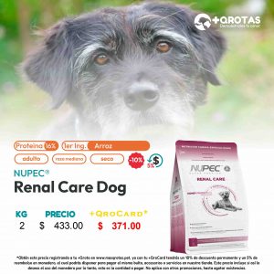 masqrotas_nupec_renal_care_dog