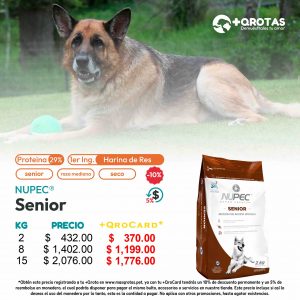 masqrotas_nupec_senior