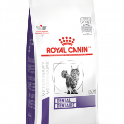 masqrotas_royal_canin_dental_dry_cat