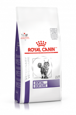 masqrotas_royal_canin_dental_dry_cat