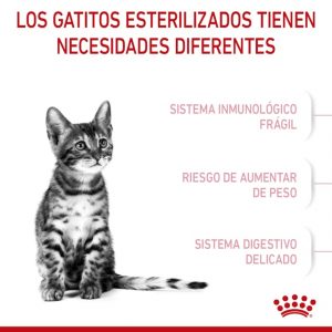 masqrotas_royal_canin_kitten_spayed
