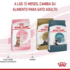masqrotas_royal_canin_kitten_spayed