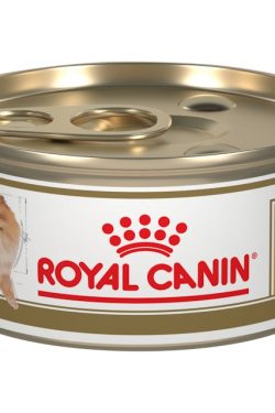 masqrotas_royal_canin_pomeranian_lata
