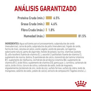 masqrotas_royal_canin_shih_tzu_lata