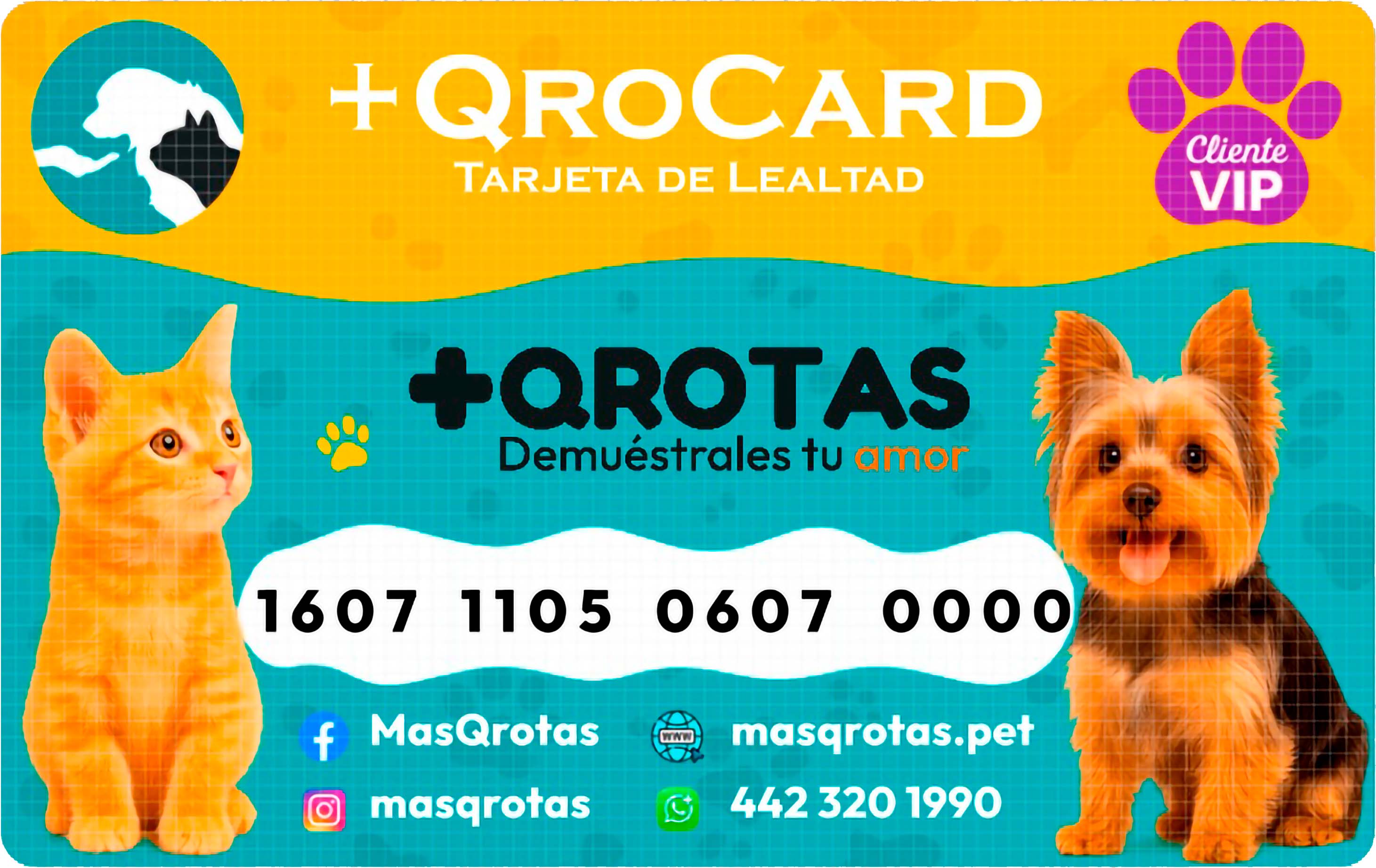 +QroCard Frente
