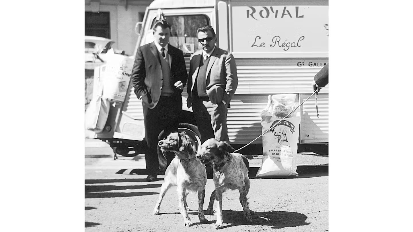 Royal Canin Blog