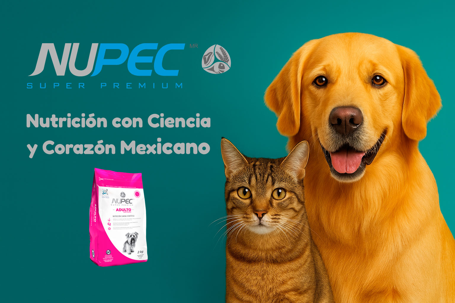 MasQrotas investigacion Nupec