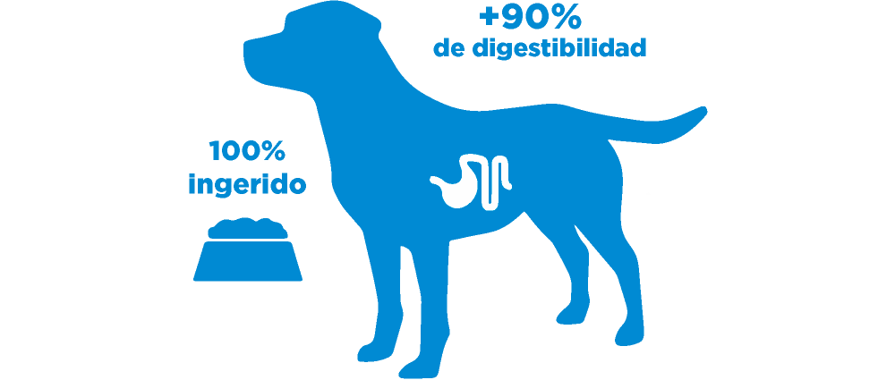 MasQrotas investigacion Nupec