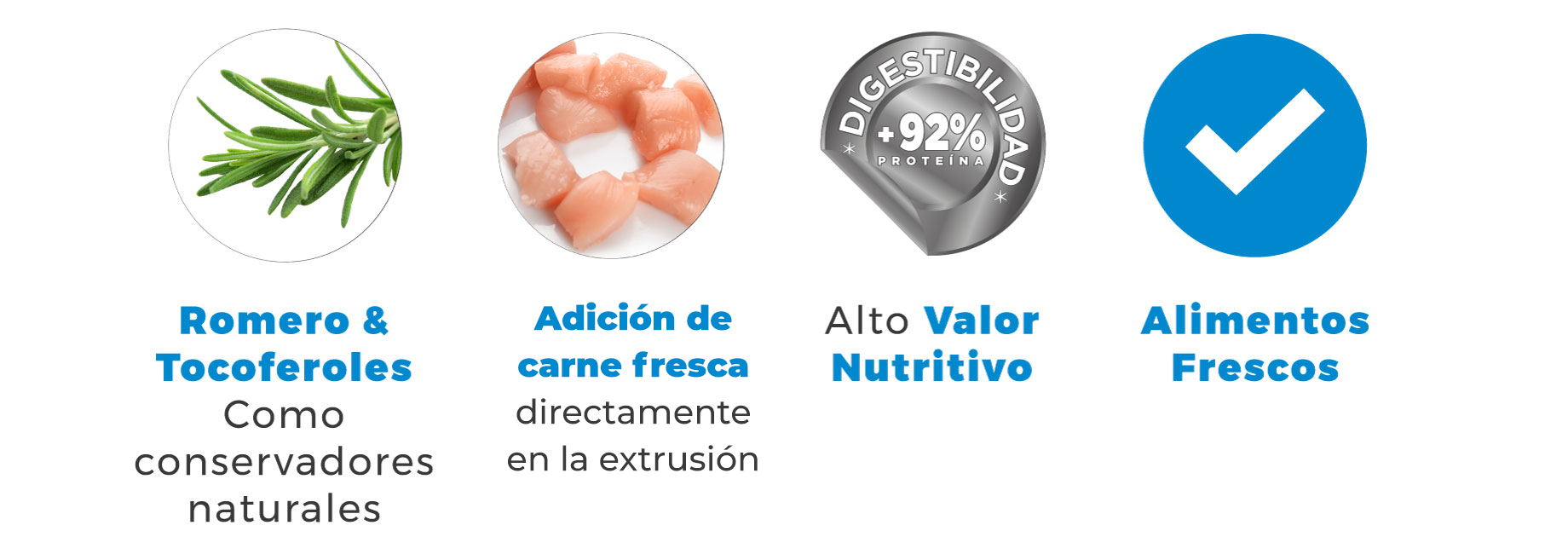 MasQrotas investigacion Nupec
