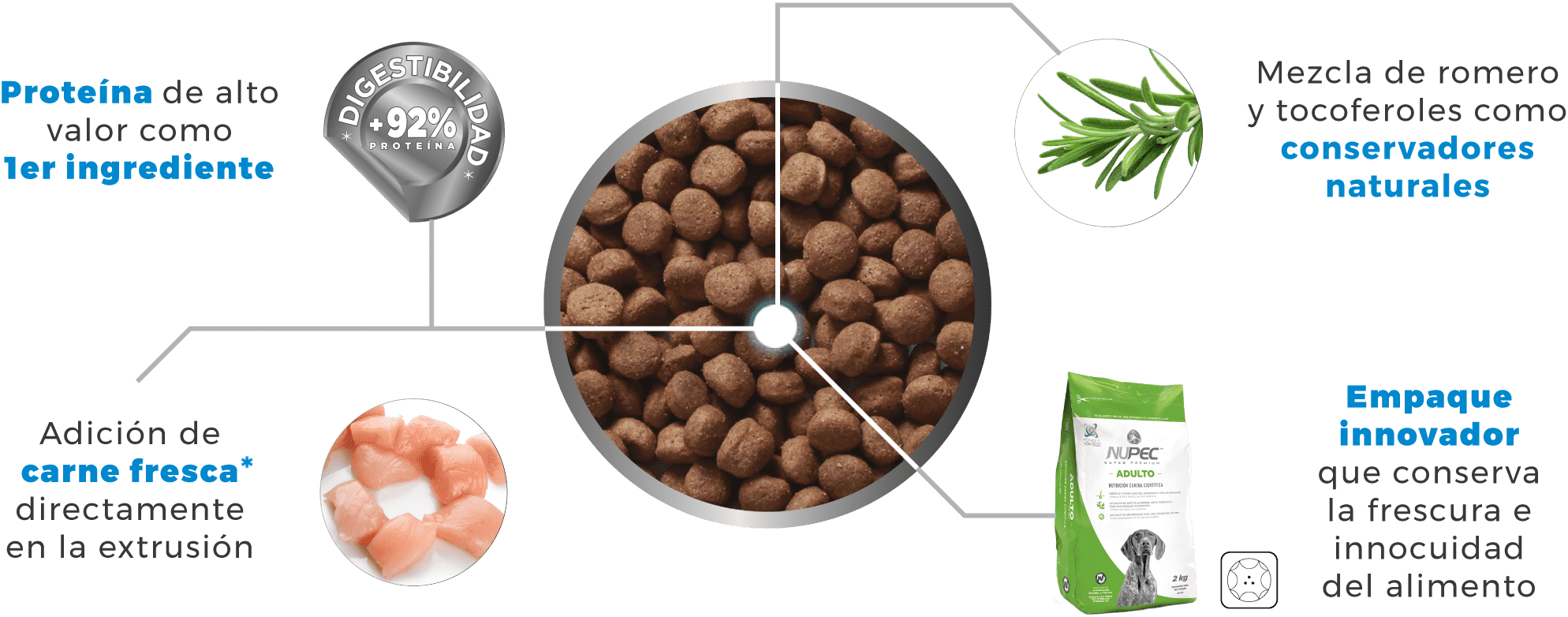 MasQrotas investigacion Nupec