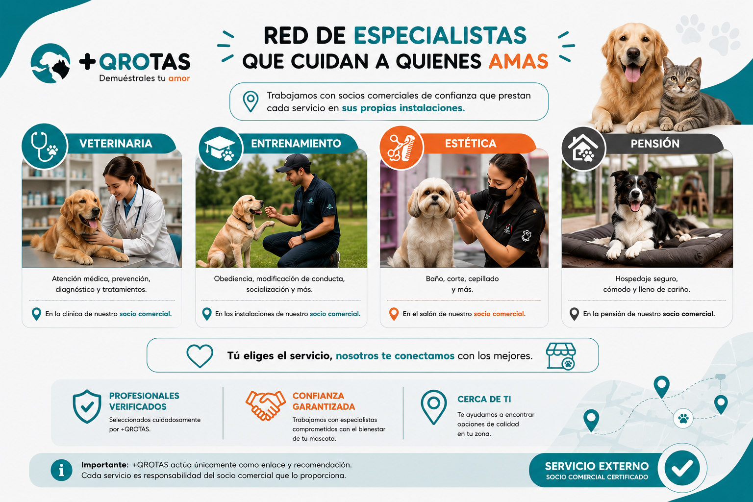 Servicios +QROTAS